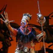 Production image from 2007 run of The Lion King