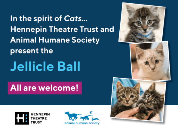 In the spirit of Cats, Hennepin Theatre Trust and Animal Humane Society present the Jellicle Ball. All are welcome. Three pictures of kittens are shown on the right side of the graphic.