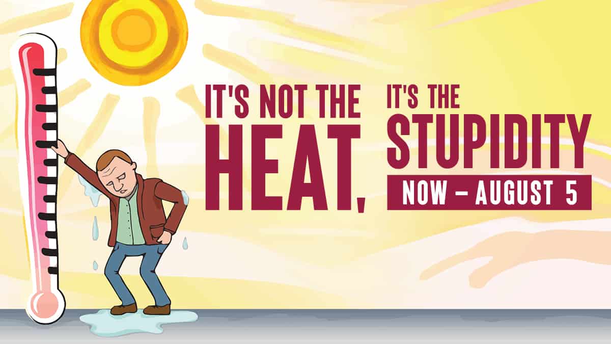 It's not the heat it's the stupidity show logo now playing through august 5 at dudley riggs theatre