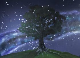 A Cottonwood tree in a nigh sky background