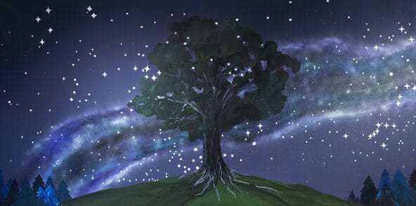 A Cottonwood tree in a nigh sky background